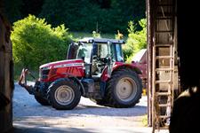 Venez découvrir nos belles vaches