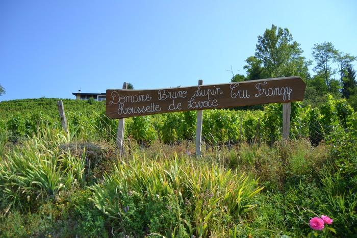 Domaine Lupin