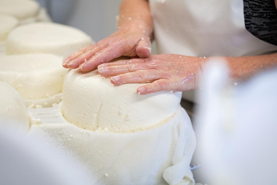 Les étapes de production de nos fromages
